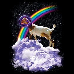 goat rainbow cities t shirt.